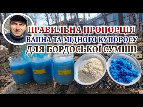 Видео: Пропорція вапна та мідного купоросу для Бордоської суміші