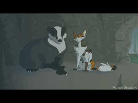 Видео: Клип Коты Воители "Малиновая лада"   По заказу Ирины Климентовой