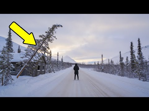 Видео: Тайга  Лесные истории   Истории из глуши  Таёжные истории