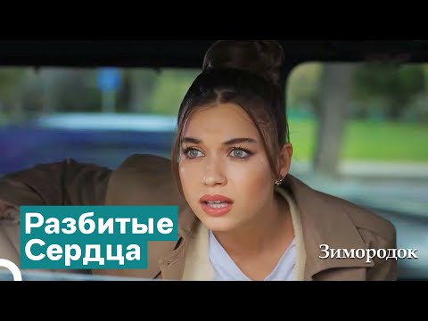 Видео: Главный Свидетель Предательства | Зимородок