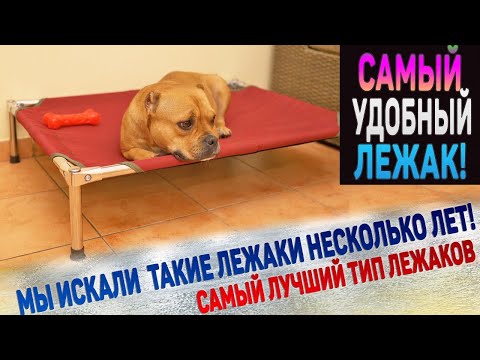 Видео: Вася и Леди первыми опробуют лежак гамак! Наш отзыв спустя 1 месяц использования.
