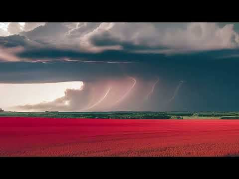 Видео: "Штурмовые". автор Лобанова Саша