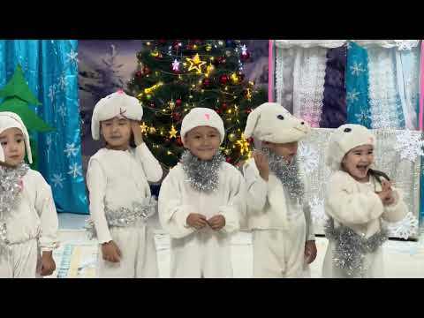 Видео: 15 января 2025 г.