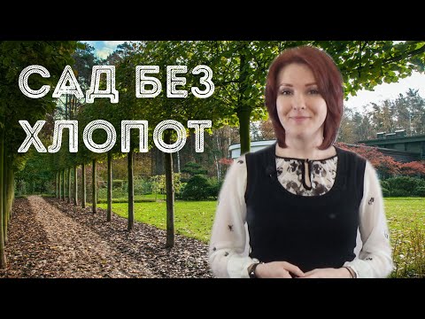 Видео: Неприхотливый сад. Миф это или реальность?
