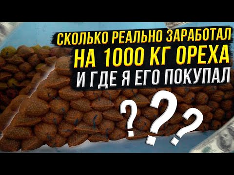 Видео: Сколько я реально заработал на 1000кг грецкого ореха и где его купить???