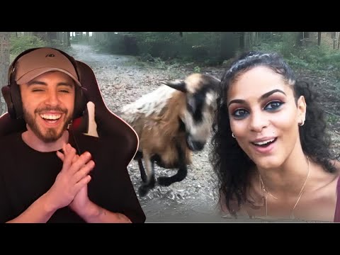 Видео: Мгновенная карма | Уморительные провалы и большие ошибки!