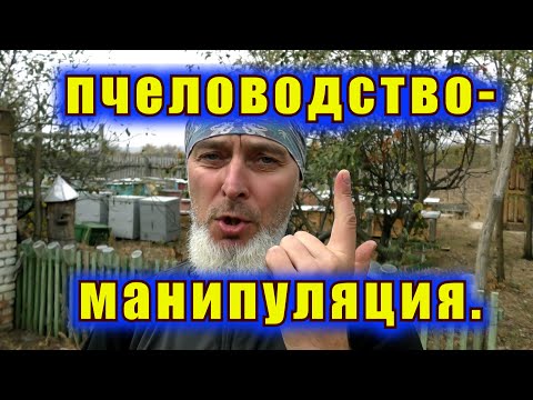 Видео: ПЧЕЛОВОДСТВО- МАНИПУЛЯЦИЯ