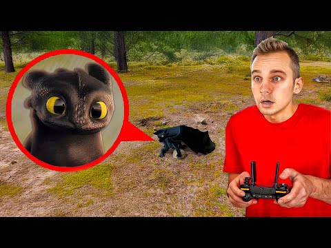 Видео: ДРАКОН Беззубик - Я Снял на Дрон Как Приручить Дракона Toothless