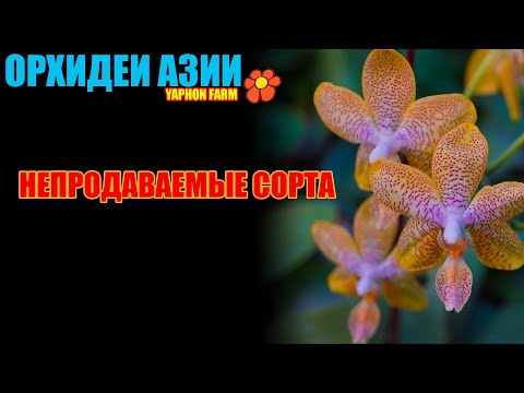 Видео: Непродаваемые сорта. Коллекция бридера