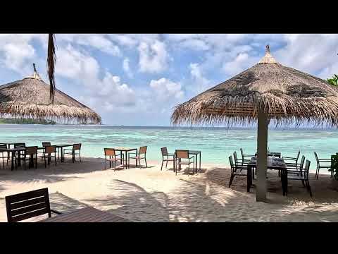 Видео: Мальдивы, остров Тинаду, отель Plumeria.