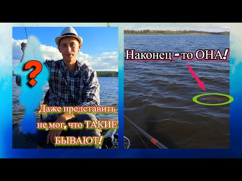 Видео: РЫБА ПОШЛА! Трофейная рыбалка на спиннинг в начале сентября