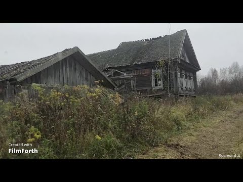 Видео: Александрово Макарьевский р-он 14/10/2023.