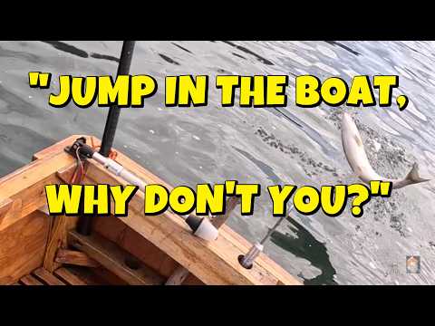 Видео: Два диких кижуча и дыра в лодке