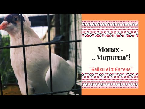 Видео: Московский Монах- Кто хозяин этого,, Маркиза"?