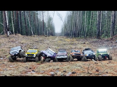 Видео: Трофи выезд на новой локации. #nvclubrc #axial #cherokee #defender #toyota #offroad #automobile