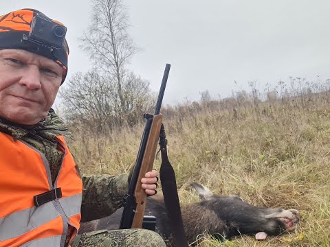 Видео: Загонная охота или хитрый бык идет вторым
