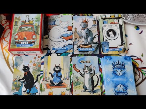 Видео: Новинка 2024!!! Обзор на таро "Котики Тарограда".