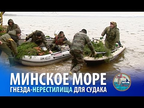 Видео: Рыбаки на Минском море изготовили и затопили искусственные нерестилища