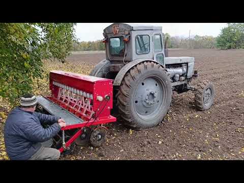 Видео: Дискуєм, обробляємо посів матеріал і  сіємо пшиничку 