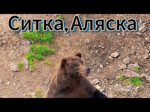 Видео: Ситка, Аляска, США