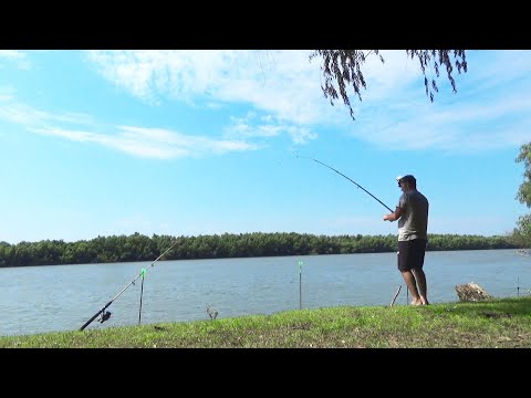 Видео: РЫБАЛКА НА КАРПА, СОМА И ЛЕЩА. Трое суток на дунае. И поймал и отдохнул. Рыбалка с ночёвкой.