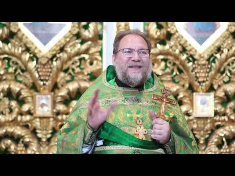 Видео: ВЫ - свет! ВЫ - соль! //Исследуем Св. Писание