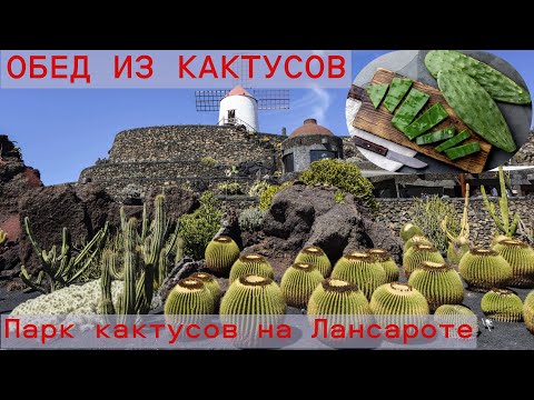Видео: Парк кактусов на Лансароте (Jardin de Cactus, Lanzarote) 🇪🇸 🇱🇹