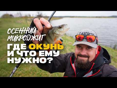 Видео: Спиннинг Микроджиг Надежный Узел для Шнура и Флюра Жизнерадостная Рыблака