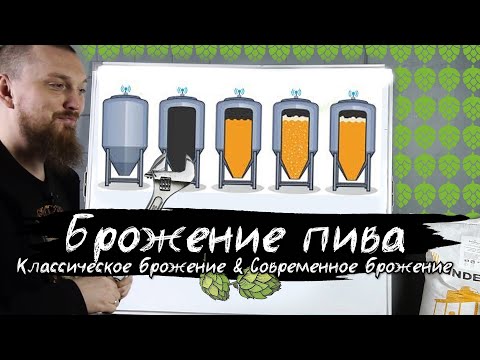 Видео: Брожение пива Классическое брожение против Современного брожения Как работают ЦКТ