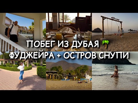 Видео: ОАЭ БЕЗ ТОЛП И НЕБОСКРЁБОВ: ОСТРОВ СНУПИ И SANDY BEACH В ФУДЖЕЙРЕ / ПОБЕГ ИЗ ДУБАЯ