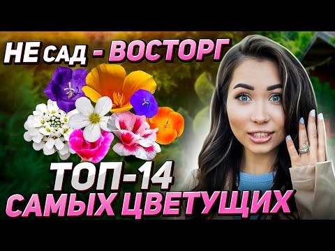 Видео: 14 редких эффектных цветов для участка (на зависть соседям)