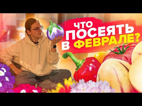 Видео: ЧТО СЕЯТЬ В ФЕВРАЛЕ 2024? Овощи и цветы