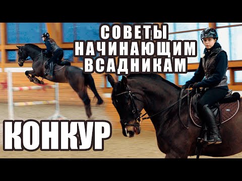 Видео: Конкур🏇 Советы начинающим всадникам