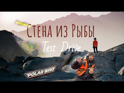 Видео: Рыба есть, а рыбаков НЕТ?! Самая быстрая сборка лодки Polar Bird. Распаковка нового  Костюма NISUS.