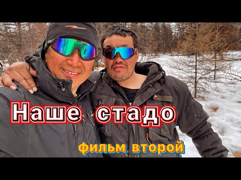 Видео: Наше стадо. Фильм второй.. 