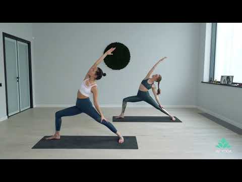 Видео: Виньяса йога + гибкость