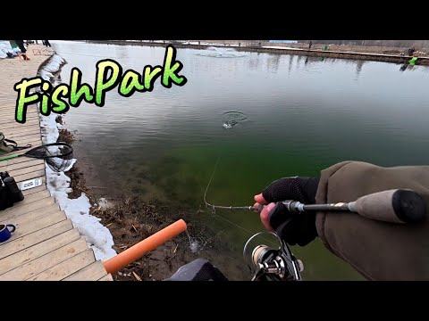 Видео: Открытие сезона по ловле форели на водоёме FishPark! 🎣🔥#рекомендации#форельАлматы#top#2025#fishing