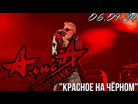 Видео: 06.09.24 - АлисА - "Красное на чёрном" - KkinchevFest