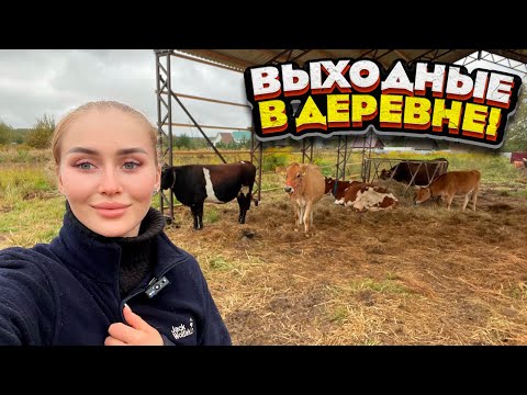 Видео: Осенние дни на ФЕРМЕ! Две Женщины На хозяйстве! | Молодая Ферма