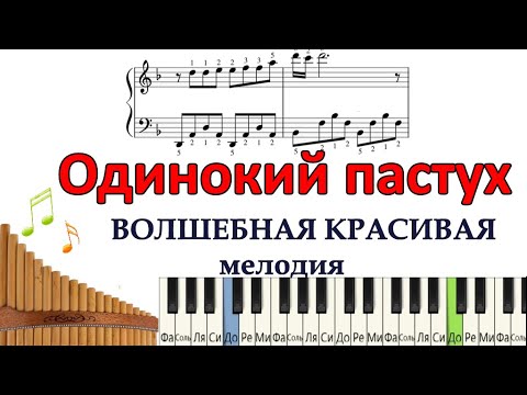 Видео: Одинокий пастух. Красивая мелодия для начинающих