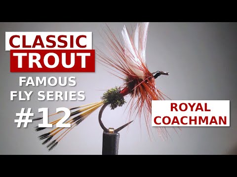 Видео: Royal Coachman — Вязание оригинальной американской сухой мушки