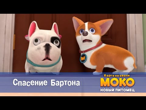 Видео: Корги по имени Моко. Новый питомец - Серия 20.Спасение Бартона - Премьера мультфильма