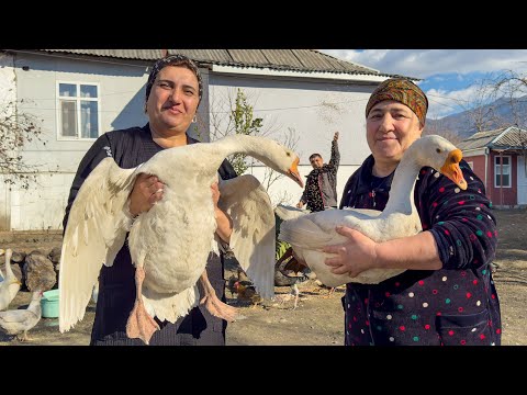 Видео: Бабушка готовит пирог без муки! 2 больших гуся в тандыре | Расслабляющая деревенская жизнь семьи