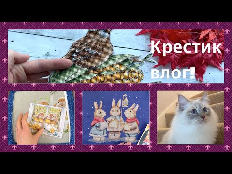 Видео: 361. Законченные работы, процессы, про книжки