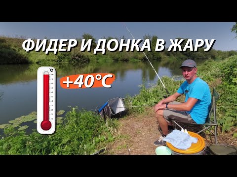 Видео: Рыбалка в жару! Ловлю на фидер и донку.