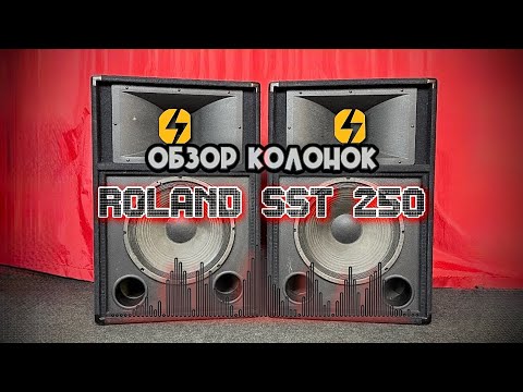 Видео: Акустика концертная ROLAND SST 250 USA
