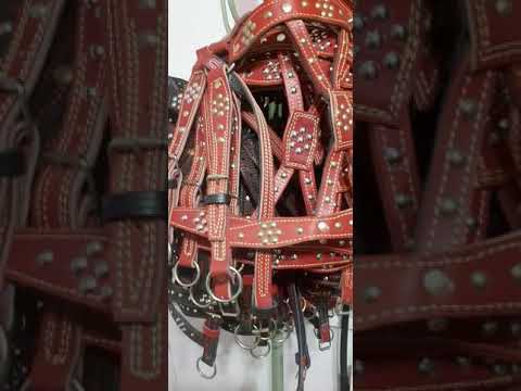 Видео: Амуниция для лошадей . handmade.  bridle . уздечка