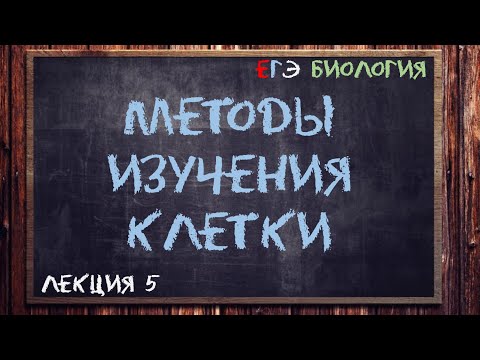Видео: Л.5 | Методы изучения клетки | ОБЩАЯ БИОЛОГИЯ ЕГЭ