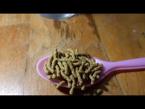 Видео: Корма для рыбок