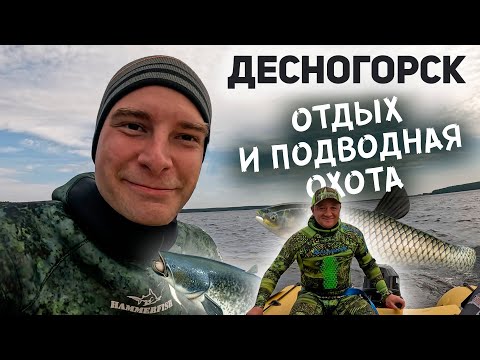 Видео: Десногорск: семейный выезд, палатки, подводная охота и  новинки для кемпинга